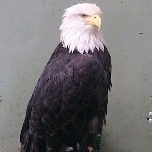 Meet your Posher, Kathleen